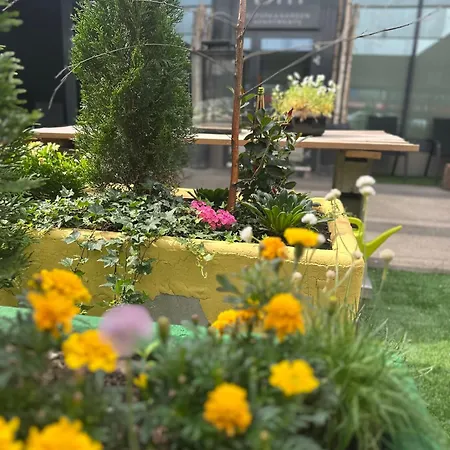 דירה Unique Boutique Terrace In Centrum, Bm Garden No1, Free Parking *