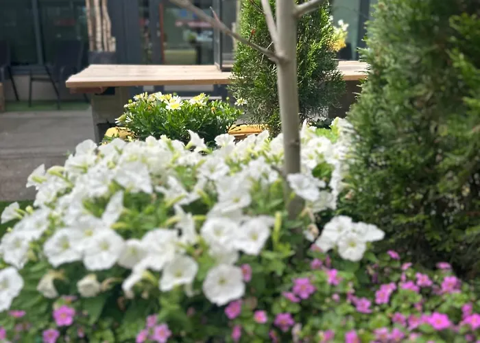 Luxury With Garden Terrace, Bm Garden No1, Free Parking *